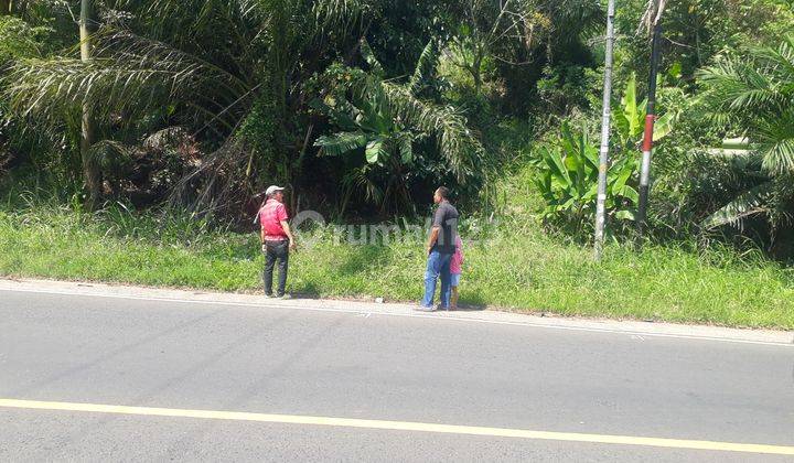 Tanah Bakauheni murah komersil 12