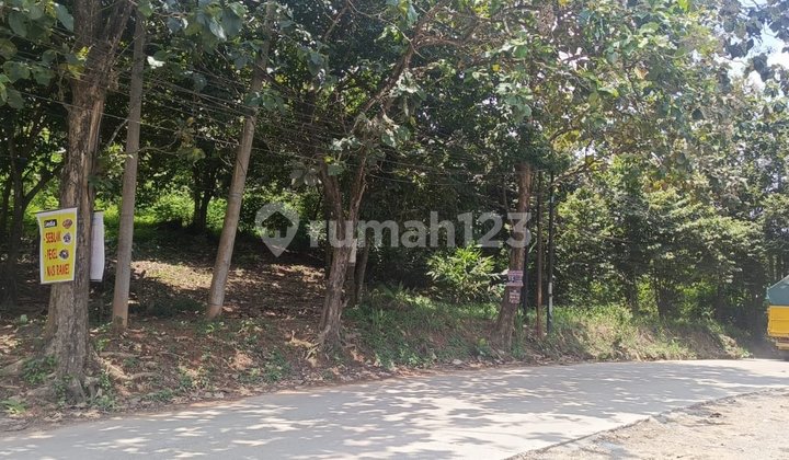 Empty land suitable for warehousing in Bandar Lampung city, East Tanjung Karang. Ready-to-build location, price is still negotiable, and SHM (Certificate of Land Ownership) is under personal name. SHM is in hand, direct transaction possible. 0811799xxxx Empty land suitable for warehousing in Bandar Lampung city, East Tanjung Karang. Ready-to-build location, price is still negotiable, and SHM (Certificate of Land Ownership) is under personal name. SHM is in hand, direct transaction possible. 0811799xxxx