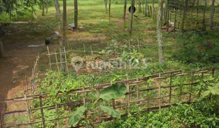 Land for Sale on Jl. Ry Jagabita, Parung Panjang, Bogor Regency, SHM