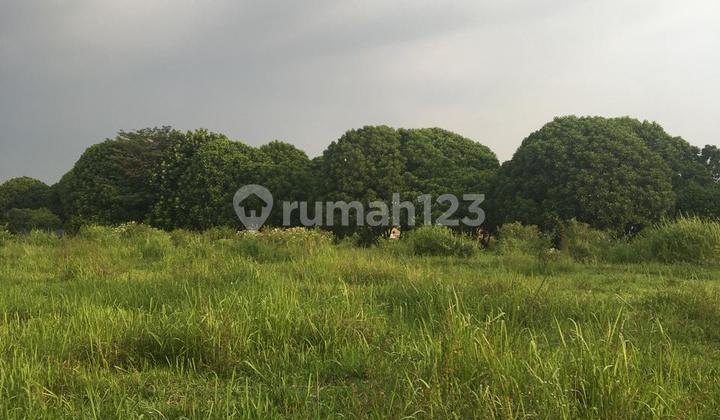 Kavling Lux Budi Indah