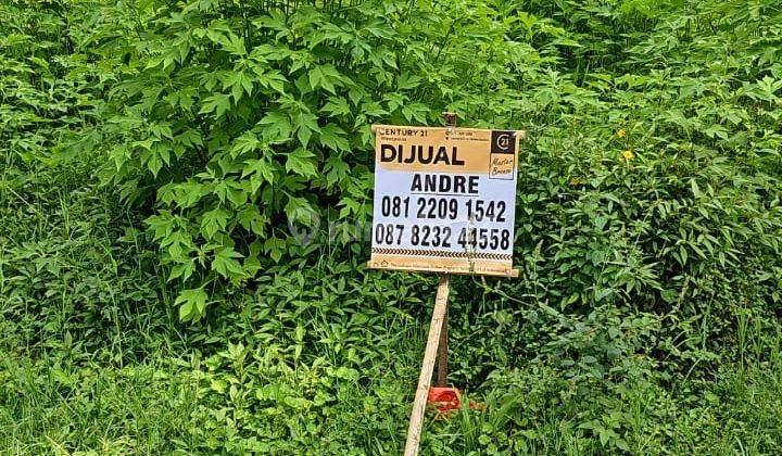 Kavling Lux Villa Istana Bunga Jalan Anggrek 2