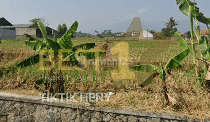 Tanah Matang Daerah Kopo Soreang, Cocok Untuk Perum, Gudang, Dll 1