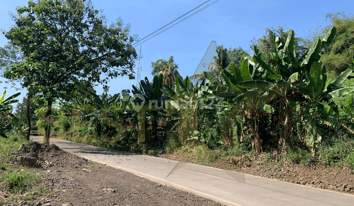 Tanah Luas 1,5 Ha, Murah Dan Strategis Di Tengah Kota Cianjur 1