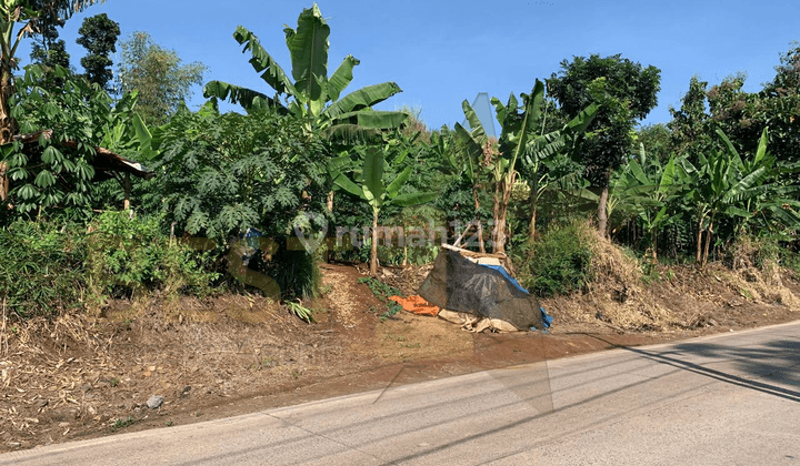 Tanah Luas 1,5 Ha, Murah Dan Strategis Di Tengah Kota Cianjur 2