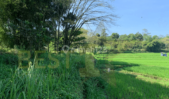  Tanah Luas 9,2 Ha, Murah Dan Strategis Di Tengah Kota Cianjur 1