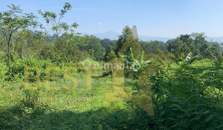  Tanah Luas 9,2 Ha, Murah Dan Strategis Di Tengah Kota Cianjur 2