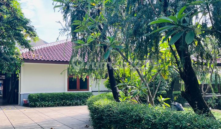 Rumah Bagus Asri Taman Luas Ada S. Pool