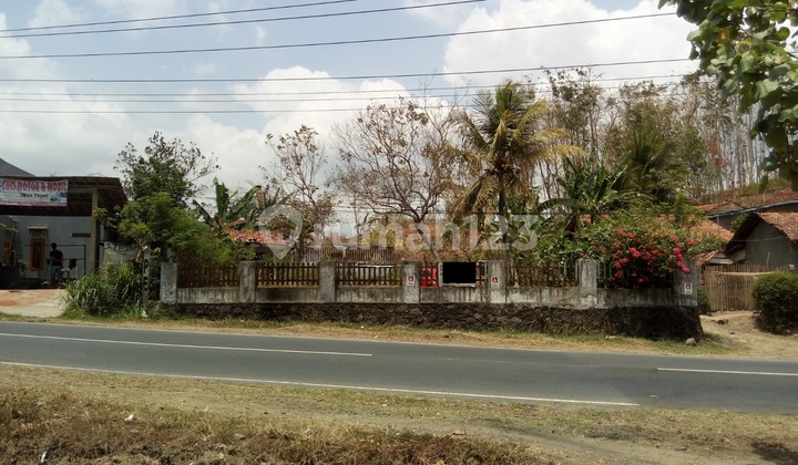 For Sale: Spacious and Affordable Land Plot in Karangpucung, Cilacap (Pw001346)