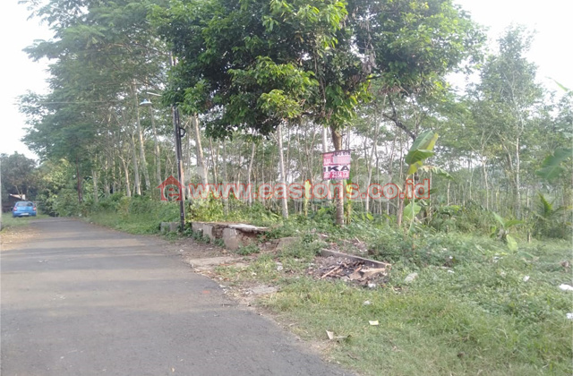 Tanah Kavling Murah Purwokerto (Pw001463)