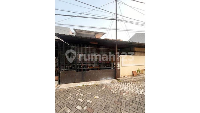 Alamanda House, Sunter, Size 9x16m2 2