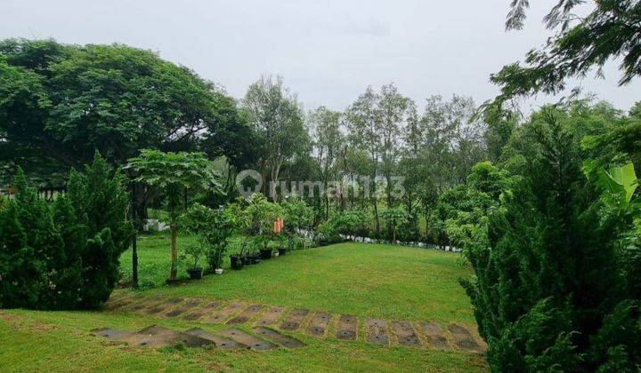 Rumah Mewah Pik View Golf Furnished Luas 330m2 2