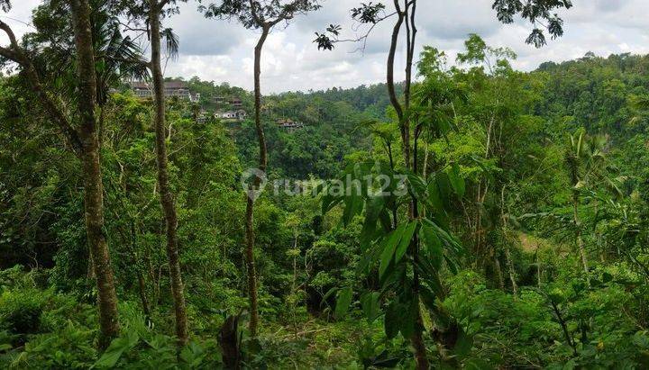 Land with Jungle and River View in Begawan Giri Payangan Ubud 60 Are 2