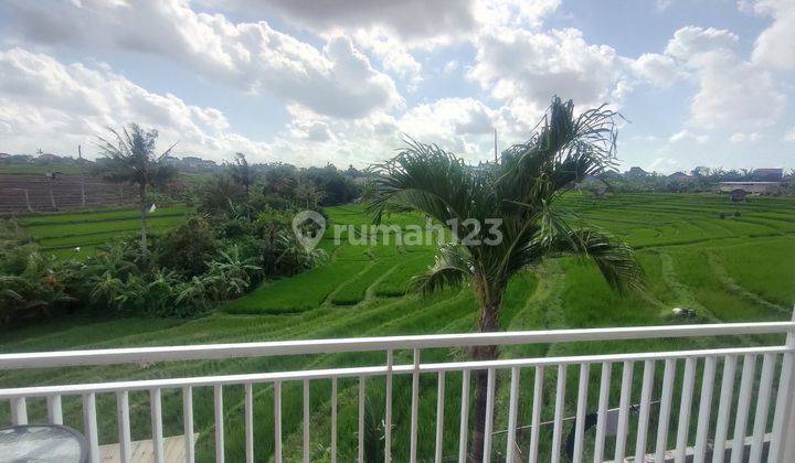 Jual Rumah Bernuansa Villa di Dalung Canggu View Sawah 2