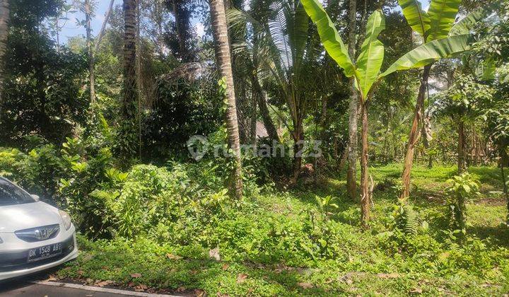 Dijual Tanah di Carangsari Petang dekat Sangeh 1