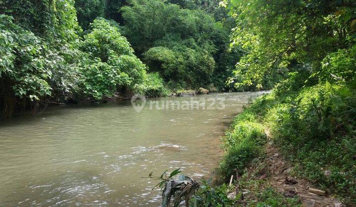 Land for Sale in Mawang Lodtunduh Ubud View of Forest and Rice Fields 1