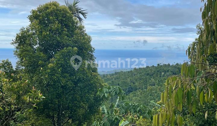 Dijual Tanah Ocean View Bangkiang Sidem Pedawa Banjar Buleleng
