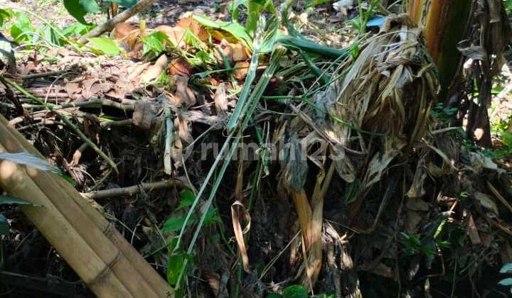 Land for Sale on Werkudara Street, Munggu Near Canggu Land for Sale on Werkudara Street, Munggu Near Canggu