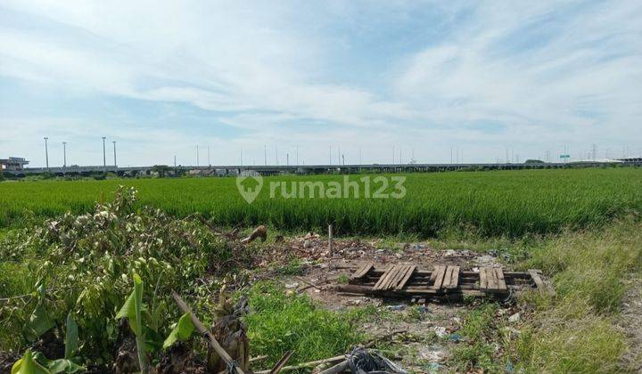 Kavling  2 Ha di Tambun Utara, Bekasi - Dekat Tol Gabus lokasinya premium 2