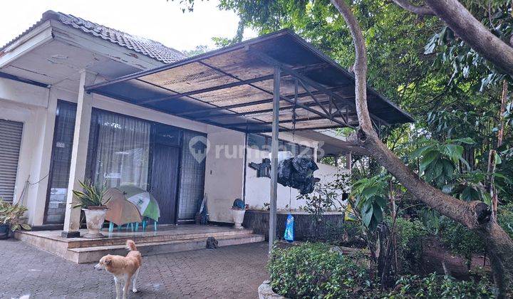 Rumah Lama 1 Lantai di Permata Hijau. Halaman Luas, Asri  1