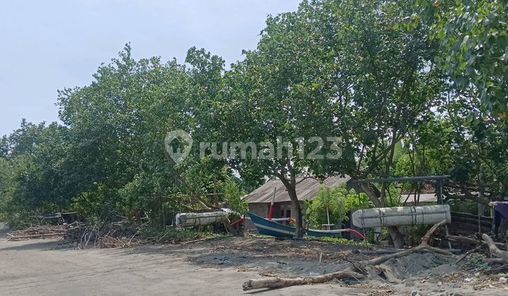 Los Pantai Beach Land, North Bali Airport