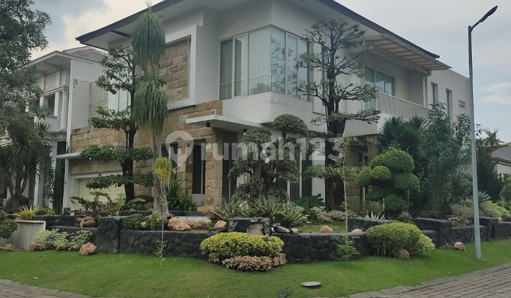 Citraland Raffles Swimming Pool Cessie 7m Lelang 8.5m Ajb 10.5m Citraland Raffles Swimming Pool Cessie 7m Lelang 8.5m Ajb 10.5m