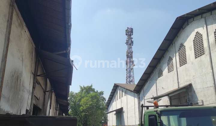 Magomulyo Main Road 0 Twin Main Road There are 10 Warehouses 109m Negotiable Magomulyo Main Road 0 Twin Main Road There are 10 Warehouses 109m Negotiable
