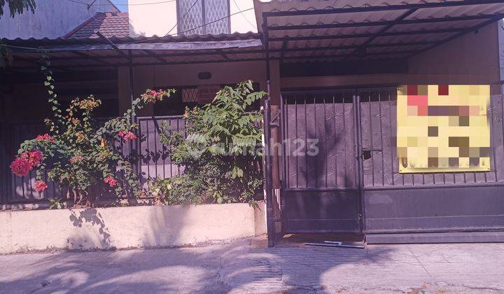 Rumah Siap Huni Sdps Belakang Papaya 2.5m Nego Bagus Murah 2