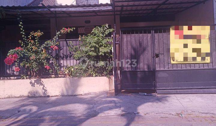 Rumah Siap Huni Sdps Belakang Papaya 2.5m Nego Bagus Murah 1