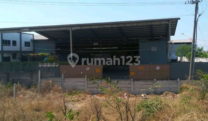 Gudang Pabrik Mastrip Warugunung 2ha Dkt Suparma 50m Nego [2.5jt]