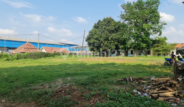 Wide Land of Walahar Village, Karawang