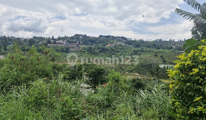  Tanah Luas Lokasi Tidak Jauh Dr Jalan Cisarua,kopo Bogor Mh
