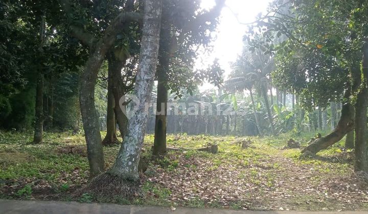 Dijual Tanah Cocok Buat Perumahan/Gudang di Ciseeng Bogor Dijual Tanah Cocok Buat Perumahan/Gudang di Ciseeng Bogor