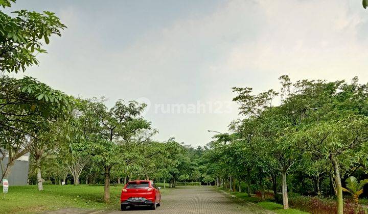 Kavling badan, hadap selatan @The Avani BSD dekat Atmajaya & Tol 4