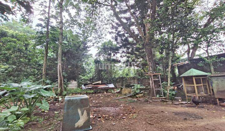 Tanah raya Cisauk-Suradita cocok perumahan, perkantoran & gudang 5