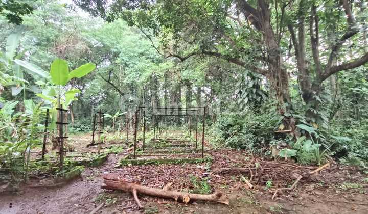 Tanah raya Cisauk-Suradita cocok perumahan, perkantoran & gudang 8