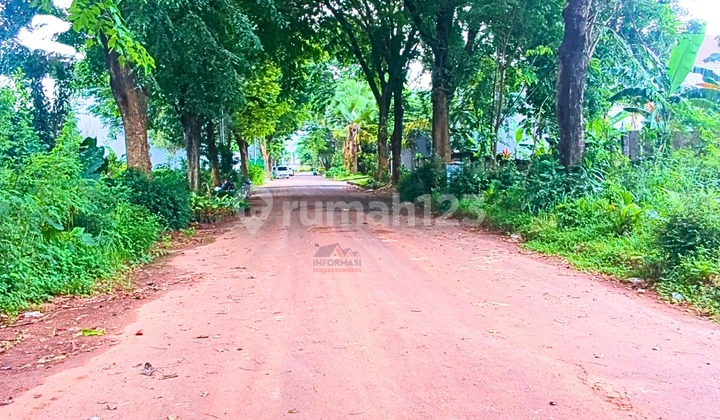 Kavling Murah LT 450 M2 Lingkungan Sejuk Sekitar Runah.mewahk Kavling Murah LT 450 M2 Lingkungan Sejuk Sekitar Runah.mewahk