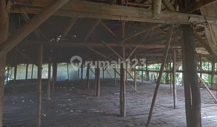 DIJUAL TANAH BESERTA KANDANG COCOK BUAT PETERNAKAN DI PAMIJAHAN BOGOR 6