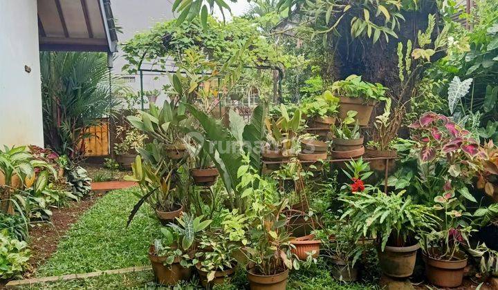 DI JUAL RUMAH MUNGIL DAN ASRI 2