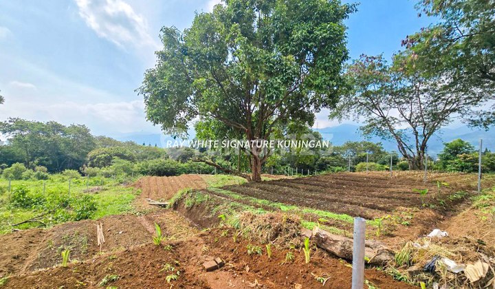 Tanah Kavling 874 meter Cocok Untuk Usaha atau Villa Tanah Kavling 874 meter Cocok Untuk Usaha atau Villa