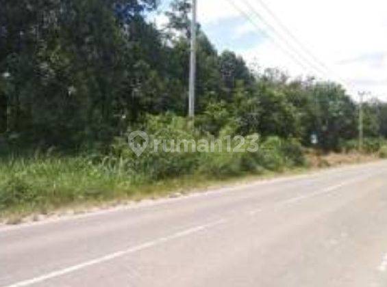 Dijual Tanah 100 Ha di Palangkaraya Cocok Untuk Agro Industri 1