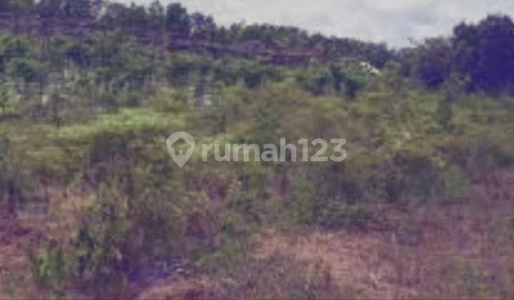 For Sale 300 Hectares of Land in Central Kalimantan, Palangkaraya