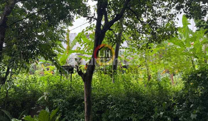 Kavling di Jalan Semeru 2