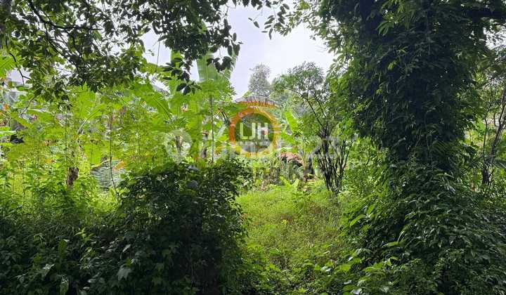 Kavling di Jalan Semeru 1