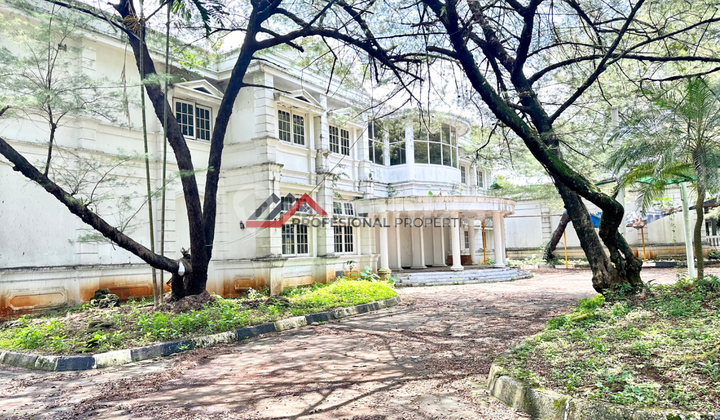 Rumah Hitung Tanah di Bawah NJOP Cocok Buat Perumahan Kantor Sekolah Binsis di Kemang Jakarta Selatan Rumah Hitung Tanah di Bawah NJOP Cocok Buat Perumahan Kantor Sekolah Binsis di Kemang Jakarta Selatan