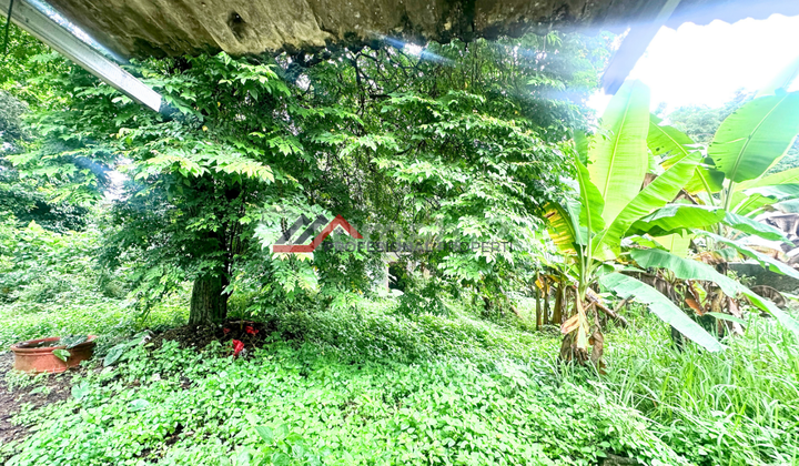 Commercial Land and Building Area in Cilandak KKO, South Jakarta 2