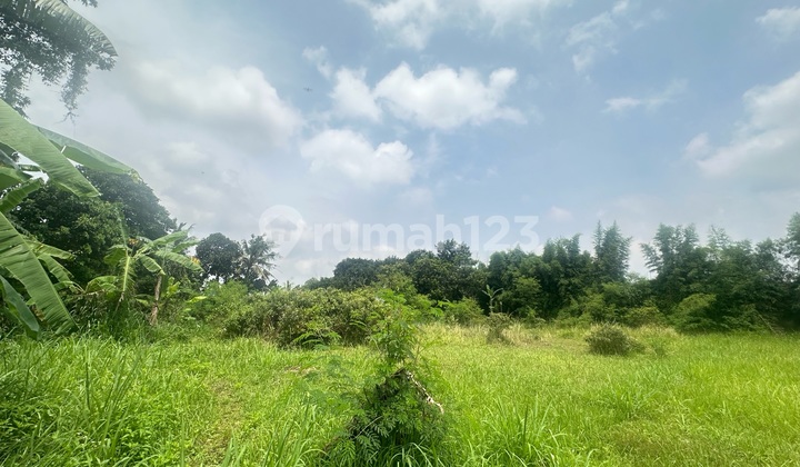 Tanah Murah Jalan Raya Buat Usaha dan Town House di Bawah NJOP Dekat Tol Brigif Desari