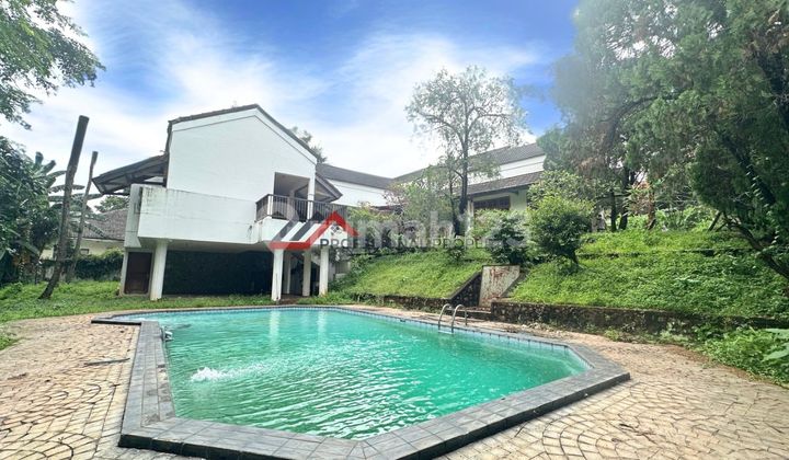 Rumah Vila Bagus Taman Luas Kolam Renang Di Kemang Jakarta Selatan
