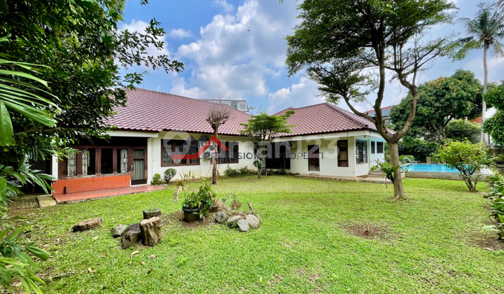 Rumah Halaman Luas Lingkungan Asri di Cilandak, Jakarta Selatan