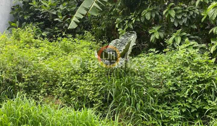 Plot in Dieng Hill 1