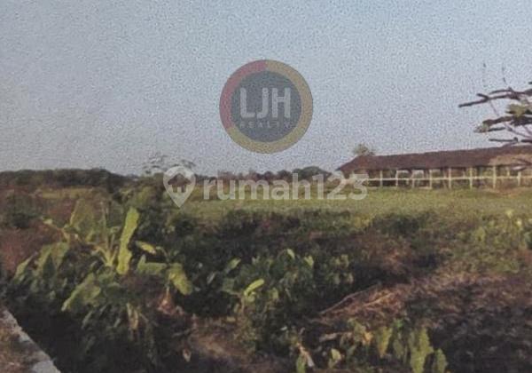 Kavling cocok untuk industri di Klaten